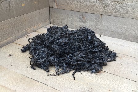 500 gram lamswol - Gotland Pelsschaap (donkergrijs)