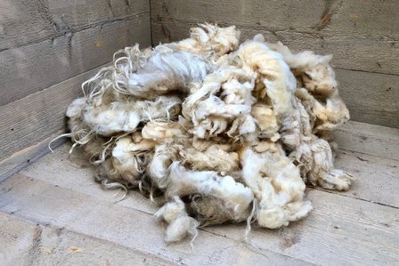 1 kilo basiswol / vulwol - puur (wolwit)
