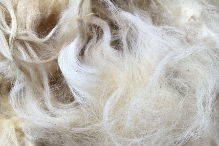 1 kilo A-klasse - Drents Heideschaap (ivoorwit)