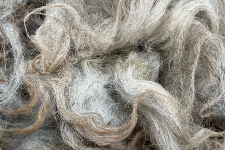 500 gram A-klasse - Drents Heideschaap (gemêleerd)