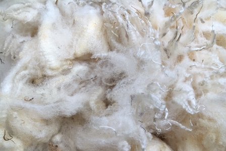 1 kilo zachte poppen- en kussenvulling - puur (wolwit)