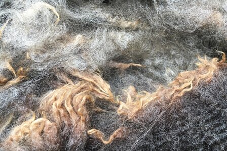 500 gram lamswol - Blauwe Texelaar (lichtgrijsbruin)