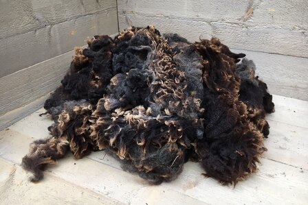 500 gram A-klasse - Blauwe Texelaar (donkergrijsbruin)