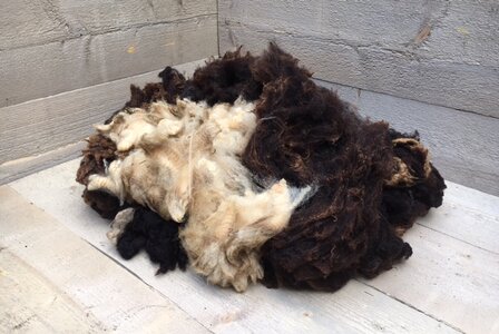 1 kilo basiswol / vulwol - puur (gemengd)