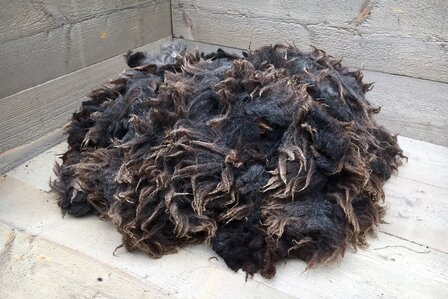 1 kilo lamswol - Blauwe Texelaar (middengrijsbruin)