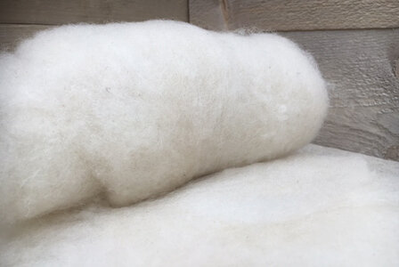 100 gram gewassen kaardvlies - Texelaar (ivoorwit)