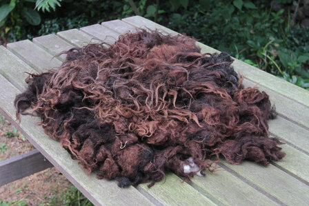 Kwart vacht A-klasse - Drents Heideschaap (bruin)