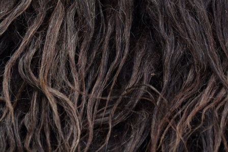 Kwart vacht A-klasse - Drents Heideschaap (bruin)