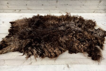 Complete vacht basisklasse - Drents Heideschaap (bruin)