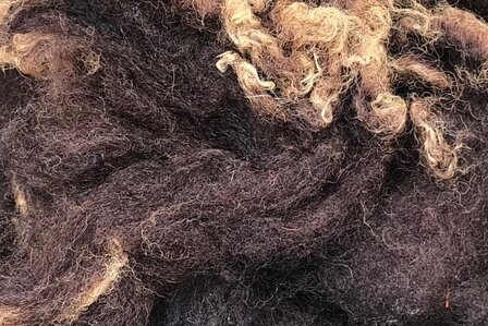 500 gram A-klasse - Zwartbles (roodbruin)