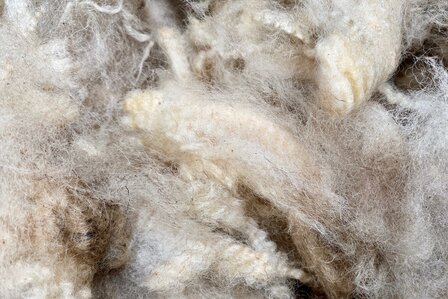 500 gram A-klasse - Entre-Sambre-Et-Meuse (ivoorwit)