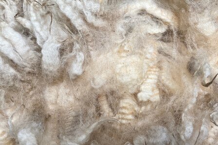 500 gram A-klasse - Kempens Schaap (ivoorwit)