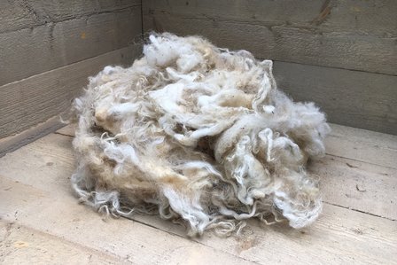 500 gram lamswol - Racka (ivoorwit)