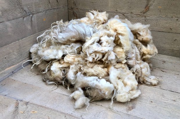 1 kilo basiswol / vulwol - puur (wolwit)