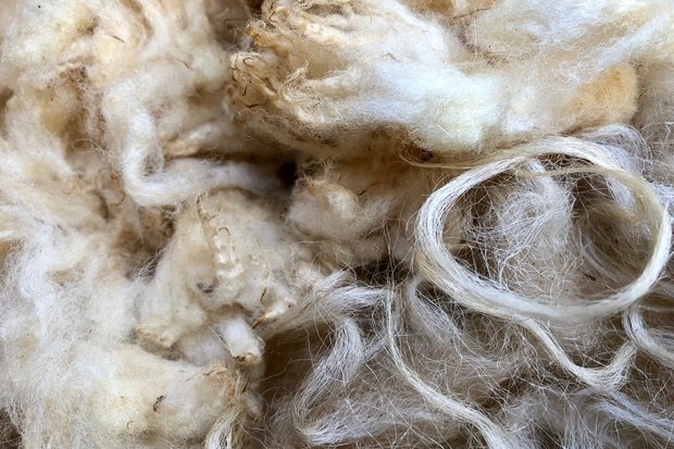 1 kilo basiswol / vulwol - puur (wolwit)