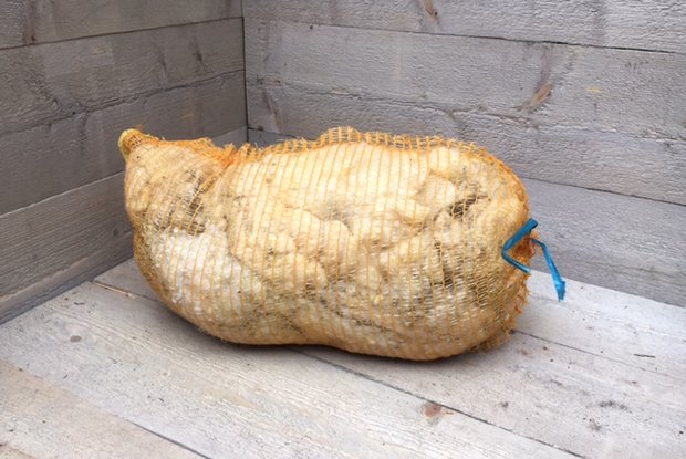 1 kilo basiswol / vulwol - puur (wolwit)