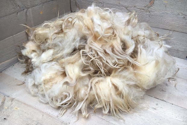 1 kilo A-klasse - Drents Heideschaap (ivoorwit)