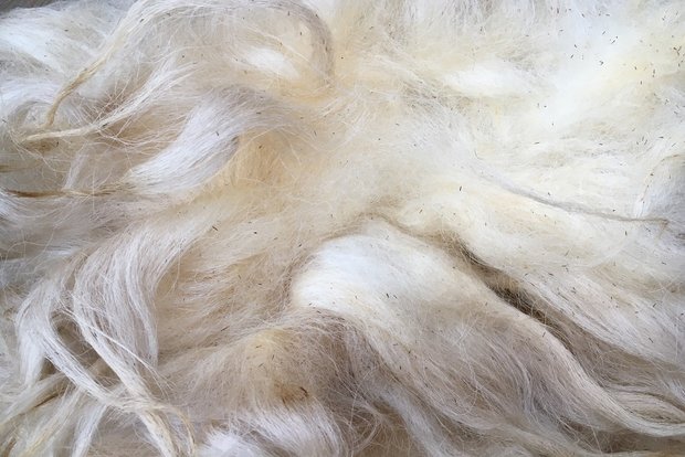 500 gram A-klasse - Kärntner Brilschaap (ivoorwit)