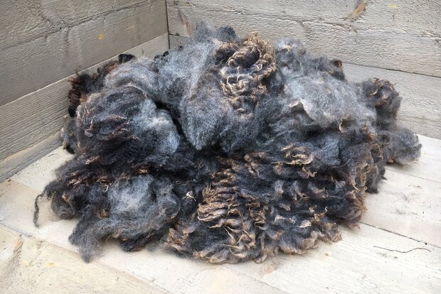500 gram lamswol - Blauwe Texelaar (lichtgrijsbruin)