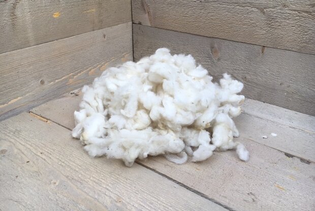100 gram zachte vulling - gewassen vlokkenwol (wolwit)