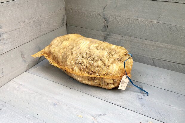 500 gram A-klasse - Clun Forest (ivoorwit)