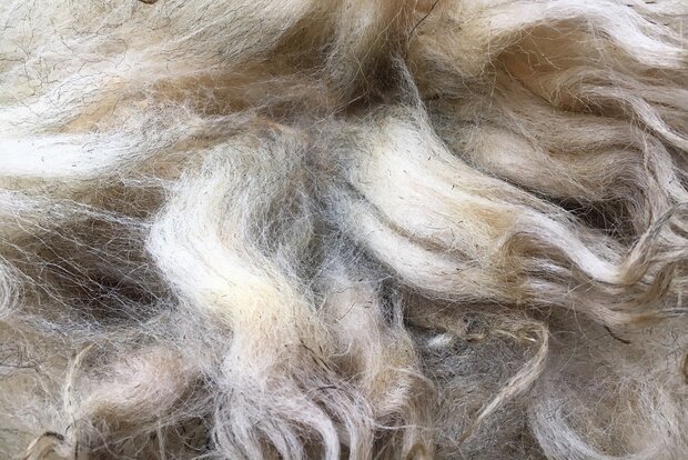 1 kilo A-klasse - Schoonebeeker (naturel)