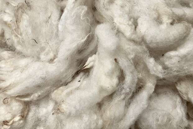 1 kilo basiswol / vulwol - gewassen (wolwit)