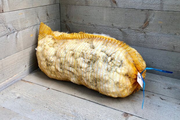 1 kilo basiswol / vulwol - gewassen (wolwit)