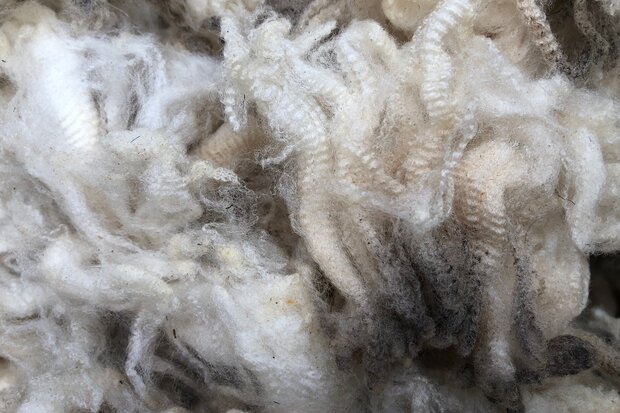 500 gram A-klasse - Europese Merino (ivoorwit)