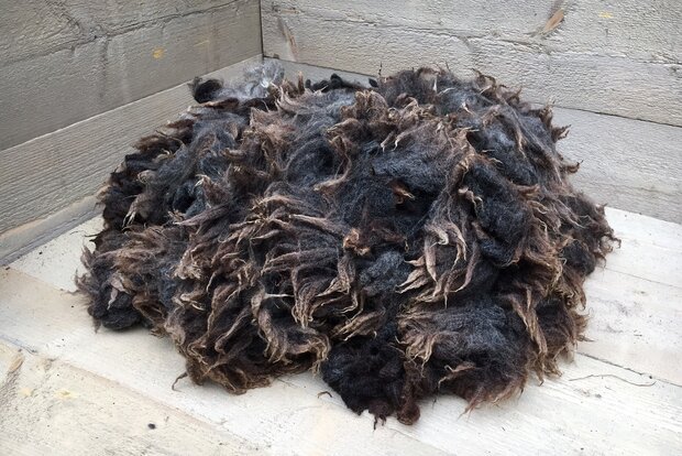 1 kilo lamswol - Blauwe Texelaar (middengrijsbruin)