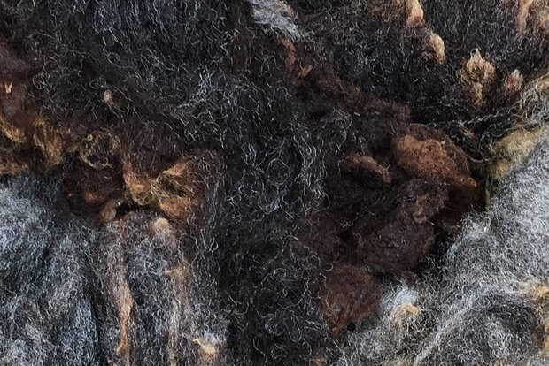 1 kilo basisklasse - Hollands boerenschaap (grijsbruin)