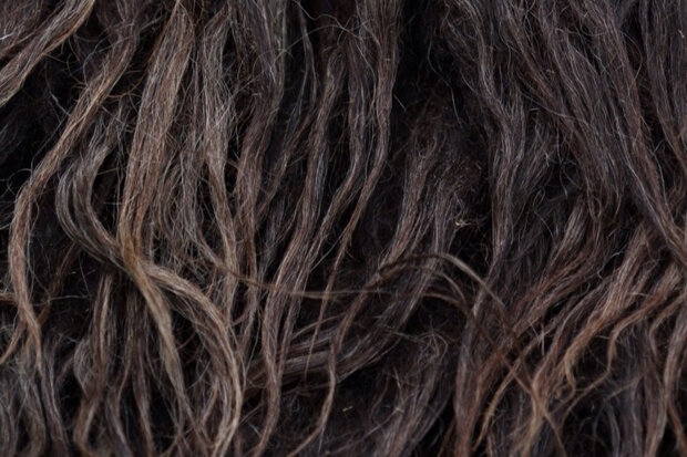 Kwart vacht A-klasse - Drents Heideschaap (bruin)