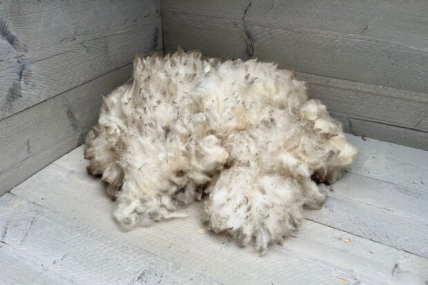 500 gram A-klasse - Norfolk Horn (ivoorwit)