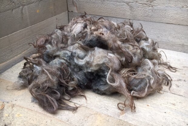 500 gram A-klasse - Drents Heideschaap (lichtgrijs)