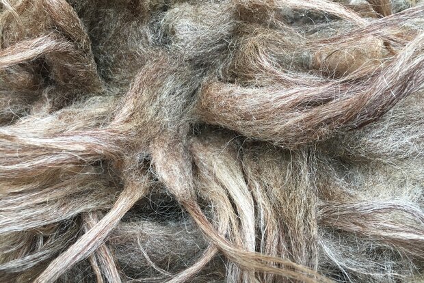 500 gram A-klasse - Drents Heideschaap (lichtgrijs)