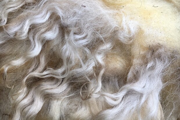 500 gram A-klasse - Racka (naturel)