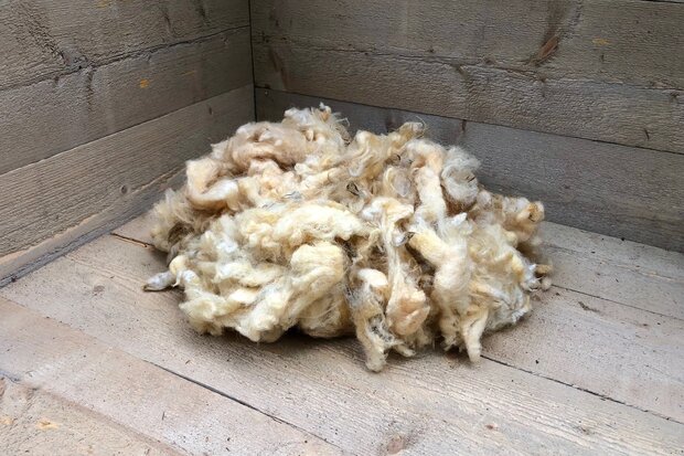 500 gam A-klasse - Llawnenog (chamois)