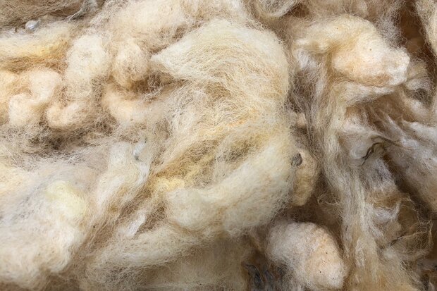 500 gam A-klasse - Llawnenog (chamois)