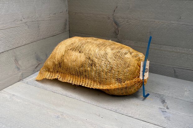 500 gam A-klasse - Llawnenog (chamois)