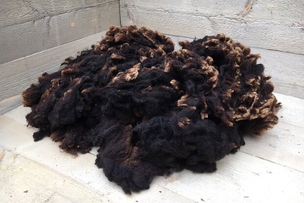 500 gram A-klasse - Zwartbles (bruinzwart)