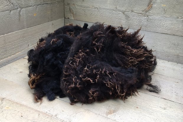 500 gram A-klasse - Fins Landschaap (bruinzwart)