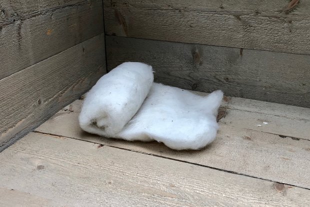 100 gram gewassen kaardvlies - basiswol / vulwol (wolwit)
