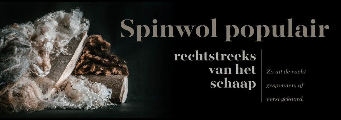 Spinwol-populair