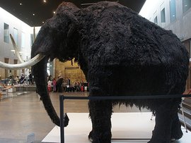 Rijksmuseum van Oudheden Rijksmuseum van Oudheden