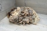 500 gram lamswol - Drents Heideschaap (gemêleerd)_